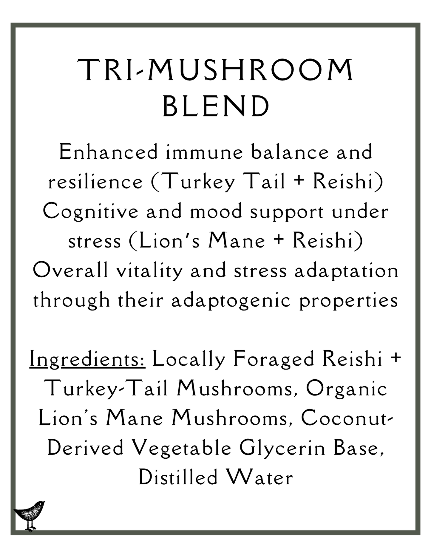 Tri-Mushroom Blend Glycerite