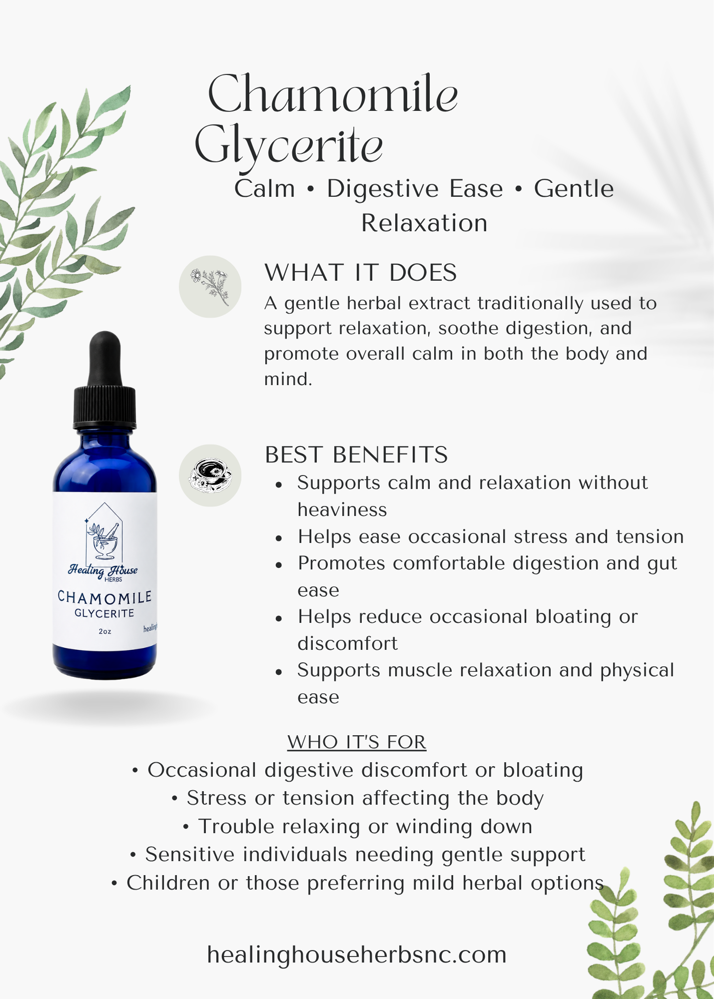 Chamomile Glycerite