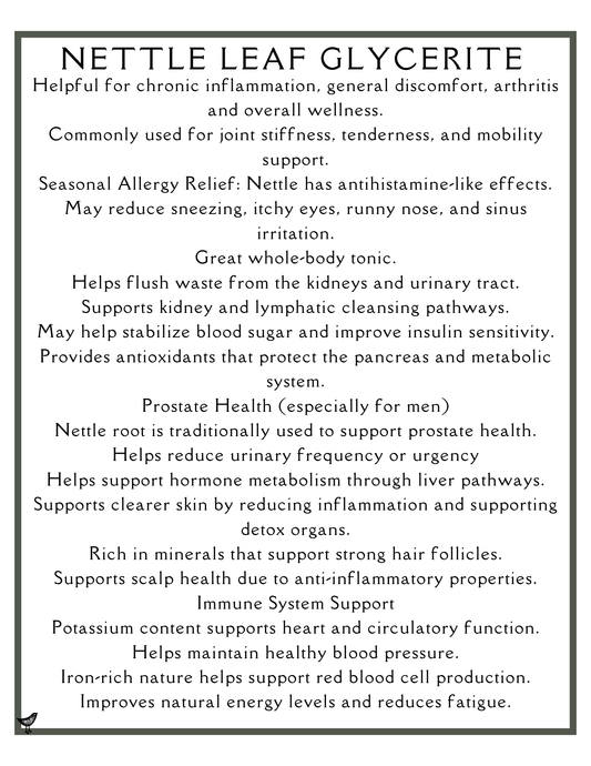 Nettle Leaf Glycerite