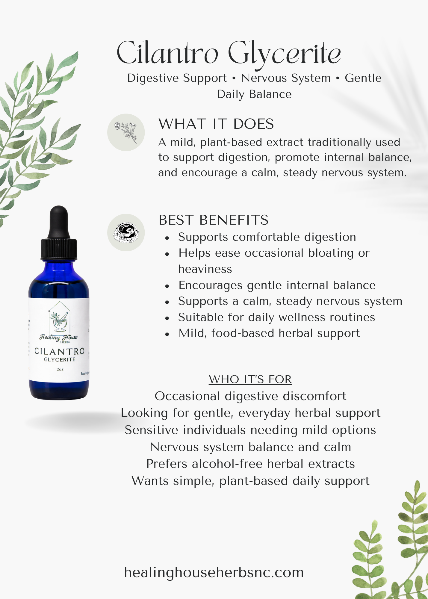 Cilantro Glycerite