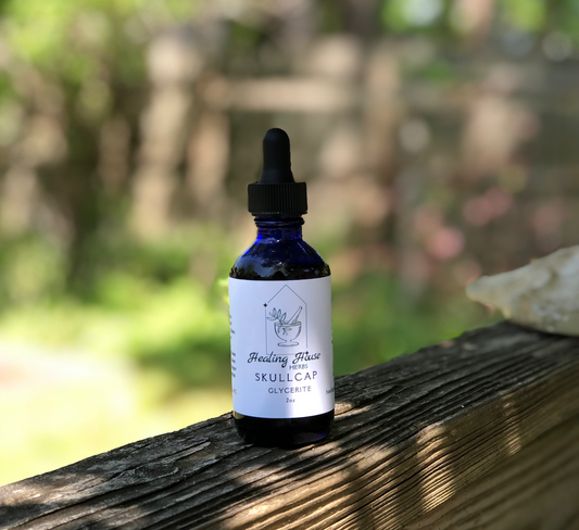 Skullcap Glycerite